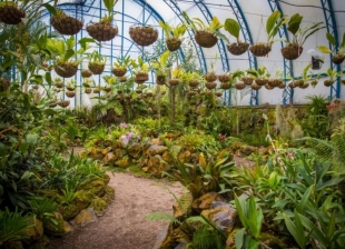 Imagen Jardín Botánico